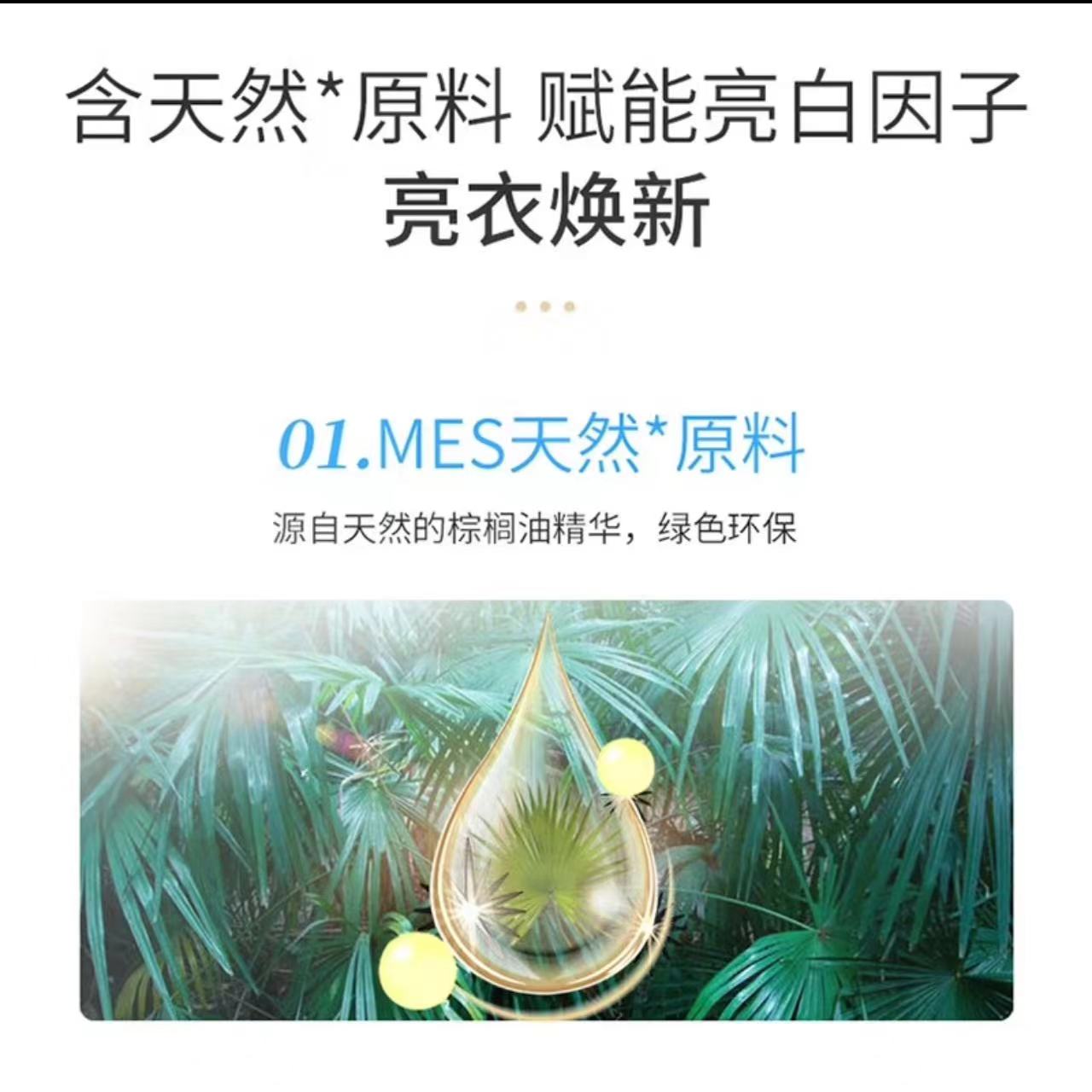 微信圖片_20240423092043.jpg